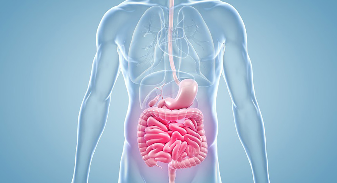 Cirurgia Colorretal (Intestino)